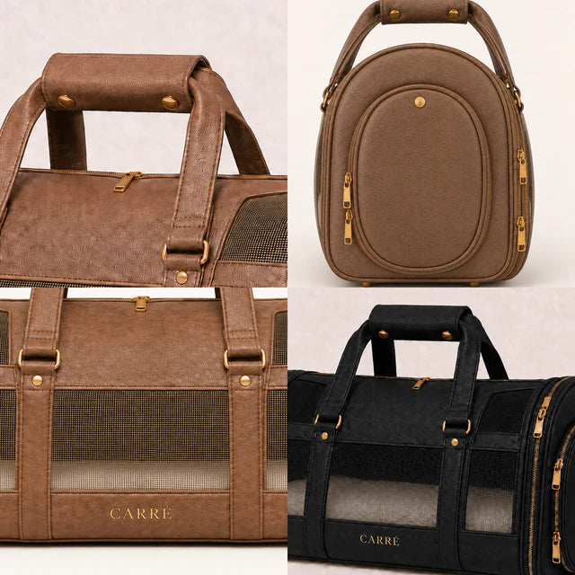 Carré brass-tone zip, handle, mesh and cushioned interior details