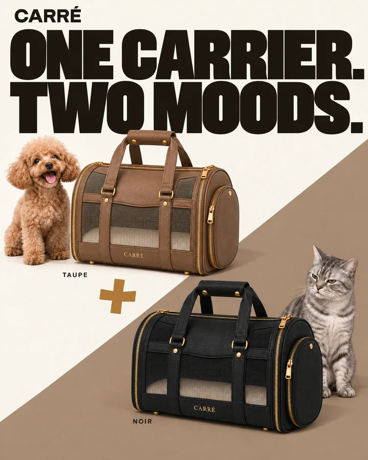 One carrier. Two moods. Taupe with a happy poodle and Noir with a serious cat.